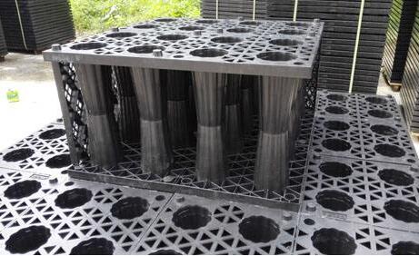 pp雨水收集模塊：五大特點闡述其魔力，帶你實勘現場安裝步驟！